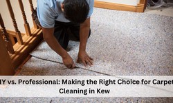 DIY vs. Professional: Making the Right Choice for Carpet Cleaning in Kew