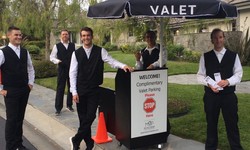 Elevating Hospitality: The Role and Impact of Valet Companies