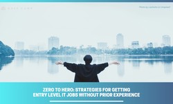 Zero to Hero: Strategies for Getting Entry Level IT Jobs without Prior Experience
