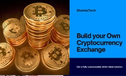 Unlocking the Potential: Whitelabel Cryptocurrency Exchange Development