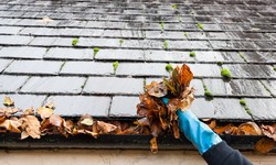 How Often Do You Need Gutter Cleaning Service? | A Realistic Approach