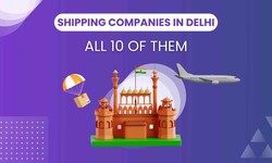 Top 10 Shipping Companies In Delhi