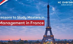 Masters in France in Management : Popular Institutions and More