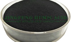 A Comprehensive Guide On Water Soluble Humic Acid Powder