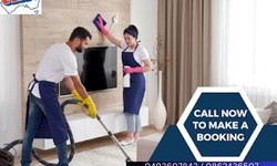 The Ultimate Guide to Carpet Cleaning, Upholstery Cleaning, and Spot Cleaner Magic