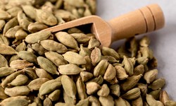 Best Deals: 1 kg Green Cardamom Price and All About Idukki Cardamom in the UAE