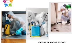 Enhancing Quality of Life with Comprehensive Residential Pest Control Services in Bhandup West