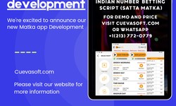 Matka App Development: A Comprehensive Guide to Creating a Winning Gaming Experience with Cuevasoft LLC