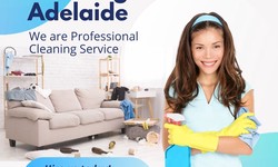 Revitalize Your Living Space: Expert Tips for Cozy Couch Cleaning in Adelaide
