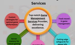 Benefits of Outsourcing Game Management Services.
