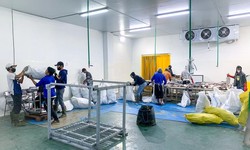 Unlocking the Finest: Exceptional Quality Seafood Exporter