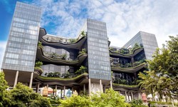 Sustainable Hospitality: Meeting the Needs of Today's