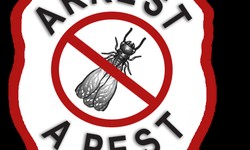 Comprehensive Guide to Residential Pest Treatment in Ohio by Kreshco Pest Control