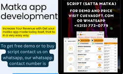 A Guide to Satta Matka Software Development with Cuevasoft LLC Ready-Made Clones