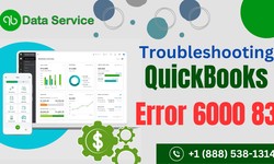 Troubleshooting QuickBooks Error 6000 83: Causes and Solutions