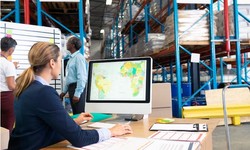 The Impact of Supply Chain Management Software on Inventory Accuracy and Stockouts