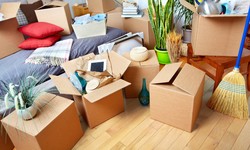 How Can Moving And Storage Service Avoid House Damage After Moving?