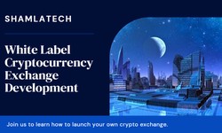 Unveiling the Power of White Label Cryptocurrency Exchange Development