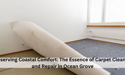 Preserving Coastal Comfort: The Essence of Carpet Cleaning and Repair in Ocean Grove