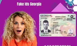 Unlock Endless Possibilities with the Best Fake IDs from IDPAPA