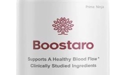 Boostaro: Unleashing Your Potential with Personal Development