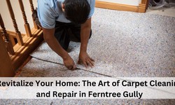 Revitalize Your Home: The Art of Carpet Cleaning and Repair in Ferntree Gully