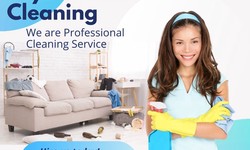 Mastering the Art of Leather Upholstery Cleaning in Canberra: Tips and Techniques for Pristine Furniture Care