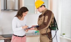 Affordable Pest Control Services in Toronto - Maple Pest Control