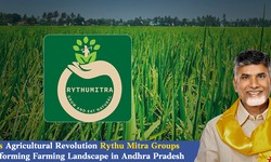 TDP's Agricultural Revolution: Rythu Mitra Groups Transforming Farming Landscape in Andhra Pradesh