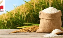Buy Basmati Rice Wholesale: Unlocking Quality and Savings
