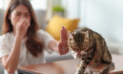 A Comprehensive Guide on How to Feed Your Pet and Manage Pet Allergies