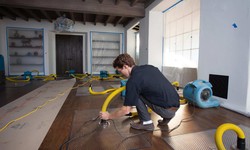 How to Choose the Right Water Damage Restoration Services