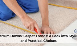 Carrum Downs' Carpet Trends: A Look into Stylish and Practical Choices