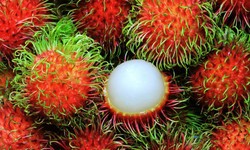 The Enchanting Rambutan: A Spiky Delight from the Tropics