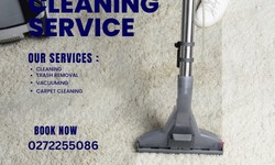 Expert Carpet Cleaning Services in Forest Lodge