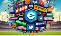 Top Cricket Blogs You Must read