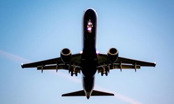 Enhance Your Travel Experience with a Free Flight Tracker for Real-Time Flight Status