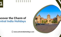 Discover the Charm of Central India Holidays