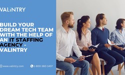 Build Your Dream Tech Team with the Help of an IT Staffing Agency - VALiNTRY