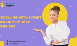 Excelling with Expert Assignment Help Services