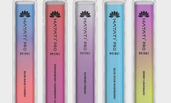 Unlocking the Pleasures of Vaping with Hayati Disposable Vape: A Journey into Flavorful Bliss