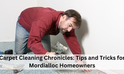 Carpet Cleaning Chronicles: Tips and Tricks for Mordialloc Homeowners