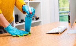 Need a Tidy Yard? How Can Affordable Cleaning Services Help?