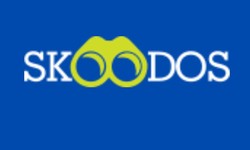 Navigating the Educational Landscape with Skoodos: A Parent's Guide to Finding the Perfect School