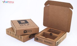Increasing Experiences with Cardboard Inserts for Boxes