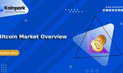 Bitcoin Market Overview