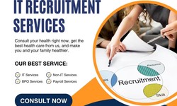 Top IT Recruitment Services in Delhi NCR: Find Your Ideal Candidates Now