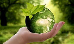 Embrace Sustainability: Transform Your Business With Recycling Initiatives