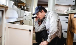 Why Pest Inspections are Essential Before Buying a New Home