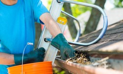 Clean Gutters Before vs. After Leaves Fall? Gutter Cleaning Services
